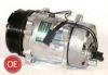 ELECTRO AUTO 20A1013 Compressor, air conditioning
